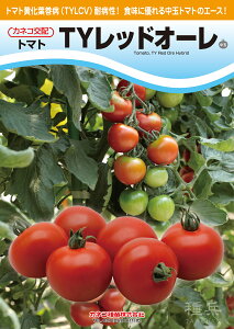 ʃg}g  wTYbhI[x JlRc