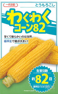 スイートコーン 種 『わくわくコーン82』 カネコ種苗