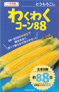 スイートコーン 種 『わくわくコーン88』 カネコ種苗