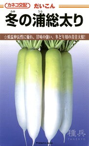 H܂_CR  w~̉Yx JlRc