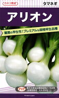 超極早生タマネギ 種 『アリオン』 カネコ種苗