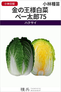 nNTC  w̉l x[Y75x юc