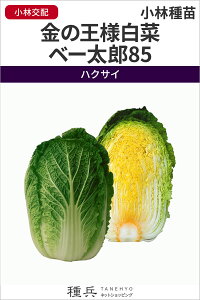 nNTC  w̉l x[Y85x юc