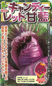 OpԃLxc  wLfB[bhx юc