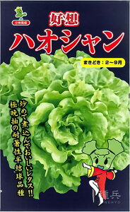 [t^X  wnIV (Dz) x юc