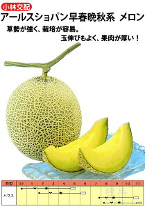 lbg  wA[XVptӏHnx юc