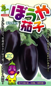 小ナス 種 『ぼうや茄子』 小林種苗