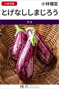 ƂȂiX  wƂȂ܂낤x юc