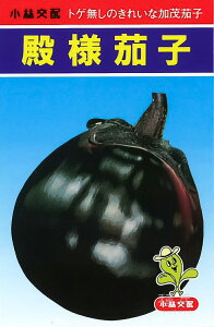 Ή֎q  walx юc