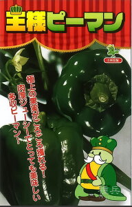 s[}  wls[}(O[500)x юc