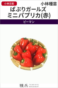 pvJ  wςՂK[Y ~jpvJ()x юc