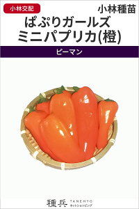 pvJ  wςՂK[Y ~jpvJ()x юc