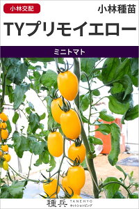 CG[~jg}g  wTYvCG[x юc