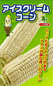 zCgR[  wACXN[R[x юc