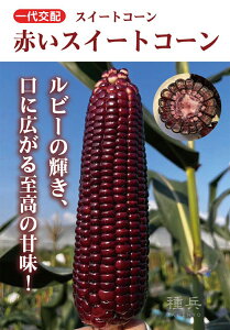 ԃXC[gR[  wԂXC[gR[x юc