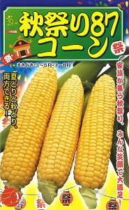 XC[gR[  wHՂ87R[x юc