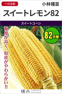 XC[gR[  wXC[g82x юc