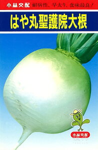 ۃ_CR  w͂ې@卪x юc