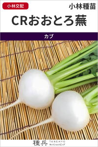 カブ 種 『CRおおとろ蕪』 小林種苗