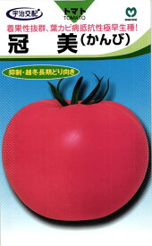 大玉トマト 種 『冠美』 丸種/小袋（18粒）