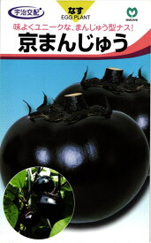 まんじゅうナス 種 『京まんじゅう』 丸種/小袋（40粒）