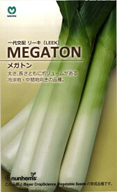 楽天市場 リーキ 種の通販