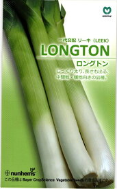 楽天市場 リーキ 種の通販