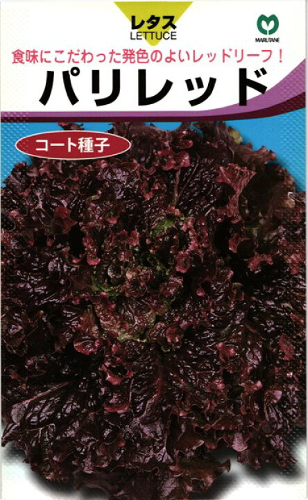 楽天市場 リーフレタス 種 パリレッド 丸種 コート1000粒 種兵ネットショッピング