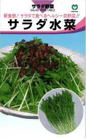 ミズナ 種 『サラダ水菜』 丸種/小袋（6ml）