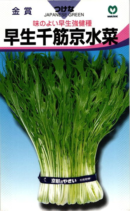 楽天市場 ミズナ 種 早生千筋京水菜 丸種 ml 種兵ネットショッピング