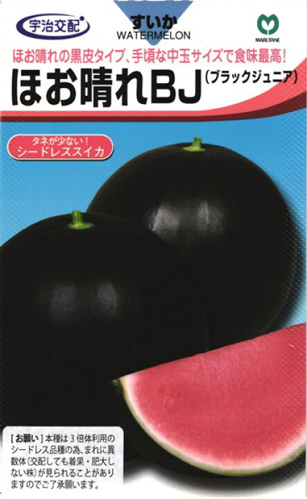 楽天市場 種なしスイカ 種 ほお晴れbj 丸種 小袋 8粒 種兵ネットショッピング