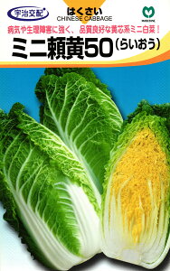 ɑnNTC  w~j50x ێ