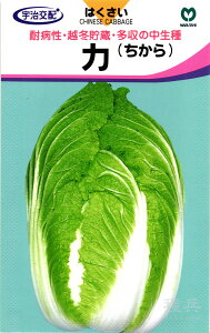 ؗpnNTC  ẃx ێ