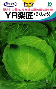 �ďH�ǂ�L���x�c �� �wYR�y���x �ێ�