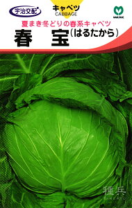 �T���[�L���x�c �� �w�t��x �ێ�