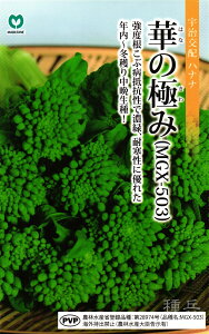 �N���`�~�ǂ蒆�Ӑ��i�o�i �� �w�؂̋ɂ݁x �ێ�