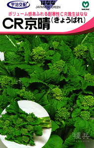 ���Ӑ��i�o�i �� �wCR�����x �ێ�