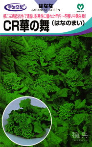 ���Ӑ��i�o�i �� �wCR�؂̕��x �ێ�