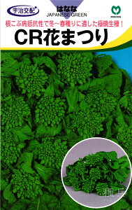 �ɔӐ��i�o�i �� �wCR�Ԃ܂�x �ێ�