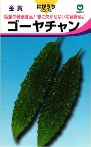 S[  wS[`iꒆZjx ێ