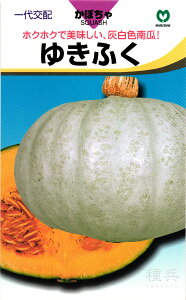 IJ{`  w䂫ӂx ێ