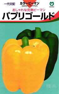 J[s[}  wpvS[hx ێ