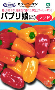 pvJ  wpvbhiςՂ肱ǁjx ێ