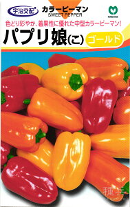 pvJ  wpvS[hiςՂ肱[ǁjx ێ