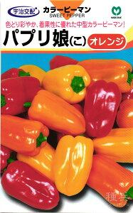 pvJ  wpvIWiςՂ肱񂶁jx ێ