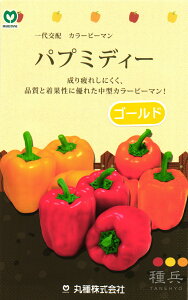 pvJ  wpv~fBS[hx ێ