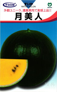 ʃXCJ  wliтjx ێ