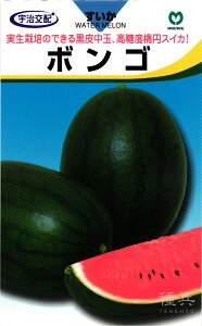 ʃXCJ  w{Sx ێ