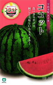 ʃXCJ  wRRbgx ێ