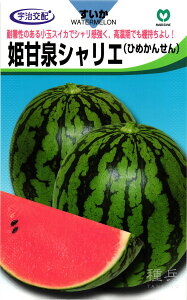 ʃXCJ  wPÐVGx ێ